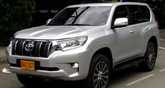 Prado 2020