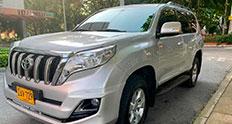 Prado tx 2020